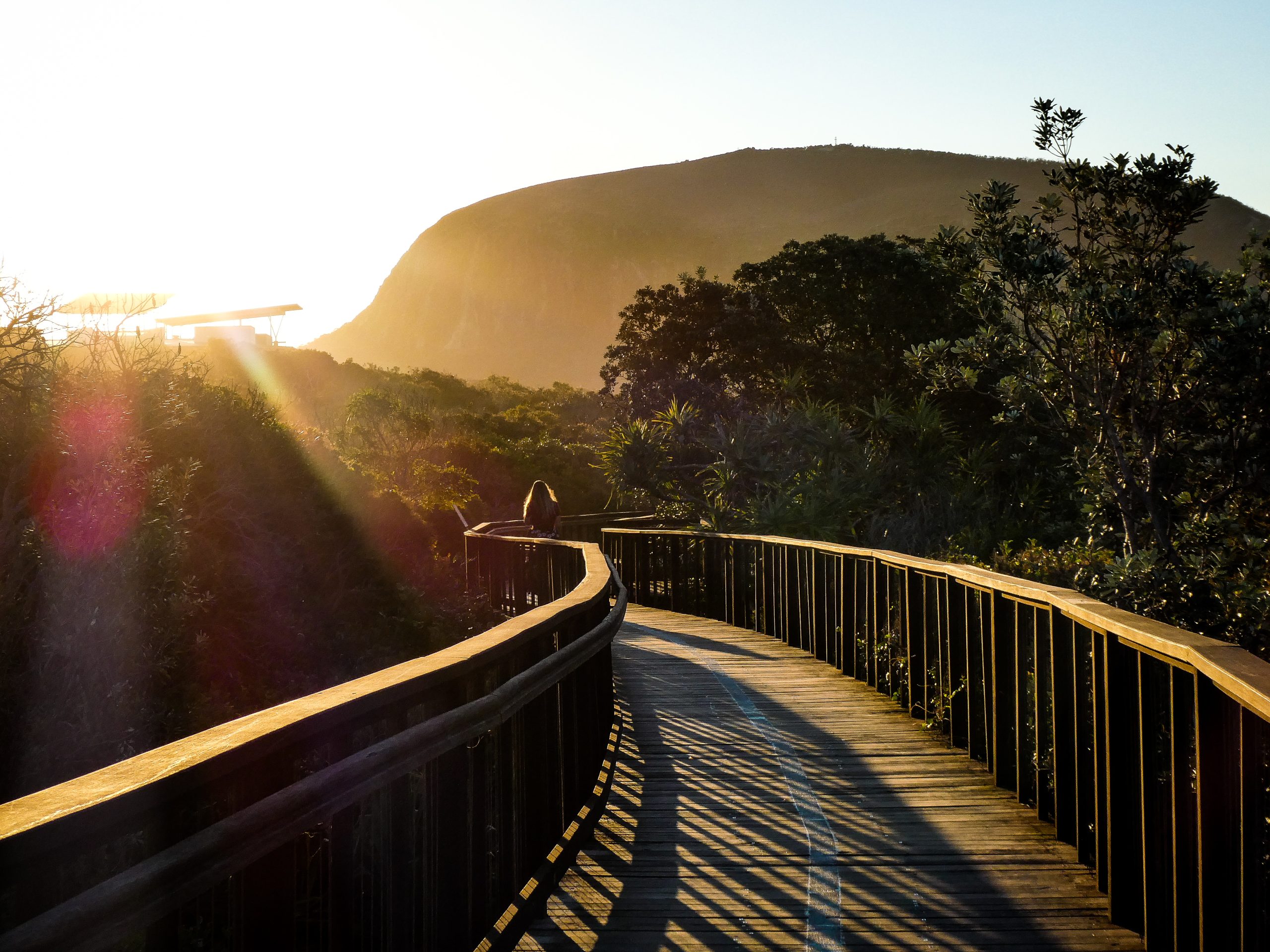 Sunset,Casts,Brilliant,Light,Rays,And,Long,Shadows,On,The